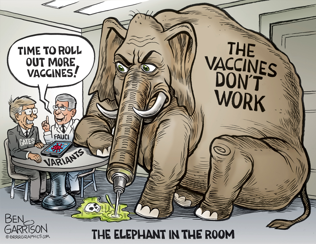 Vaccine Elephant panel 1